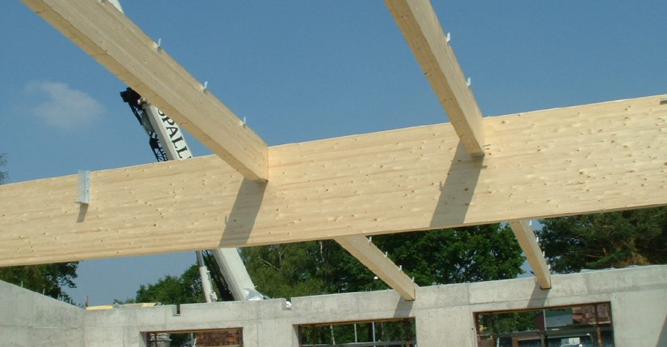 Image - Mit Holz im gewerblichen Hallenbau